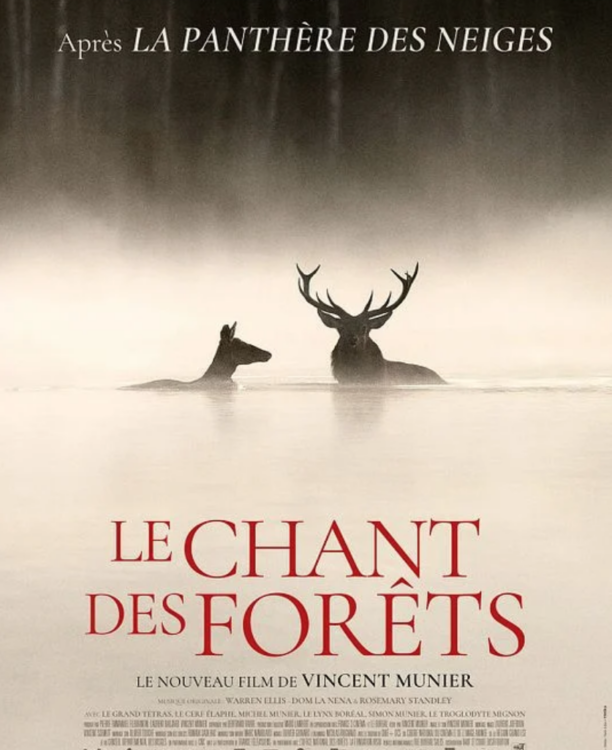 LE CHANT DES FORETS
